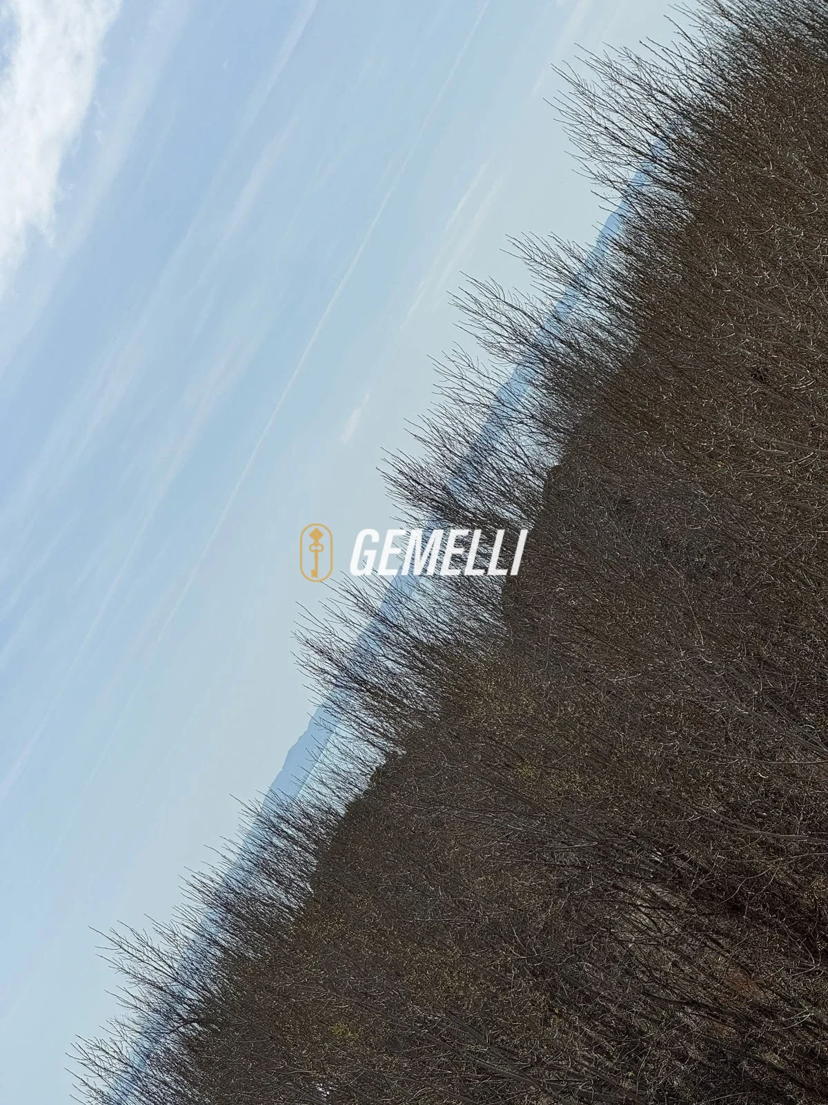 WhatsApp-Image-2025-03-11-at-10.31.04-3