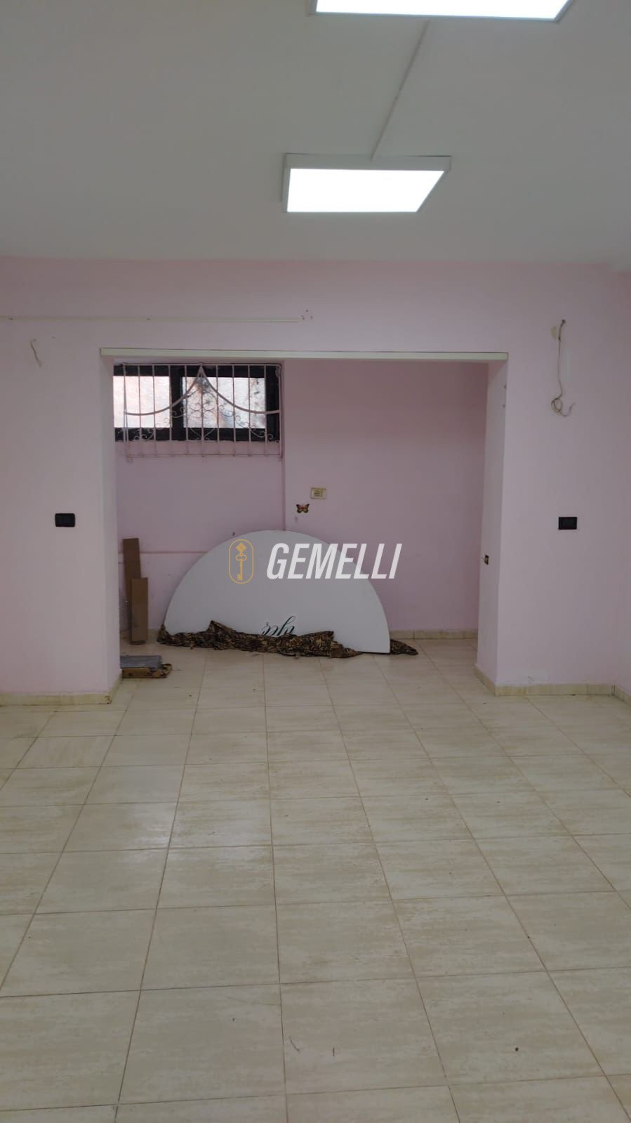 WhatsApp Image 2026-03-04 at 12.46.44