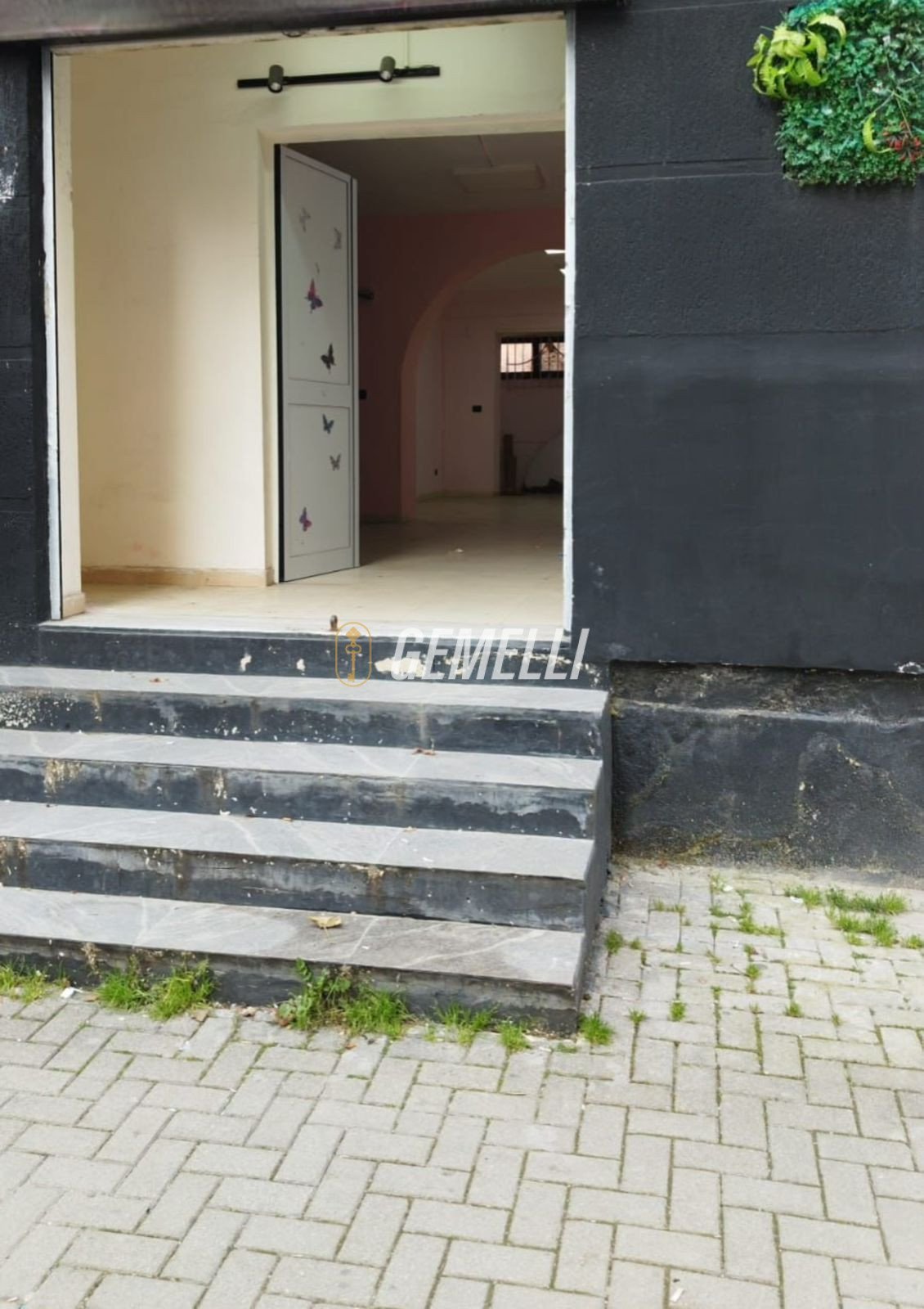 WhatsApp Image 2026-03-04 at 12.57.51